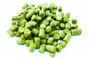 Reevaluating Dry Hop Techniques
