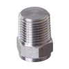 Kettle Stainless plug - 1/2 in. MPT Plug - Solid
