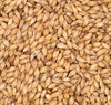 Wheat, Unmalted