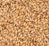 Pilsen, Belgian - Bulk