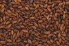 Chocolate - US Pale