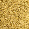 Victory Malt,  Briess