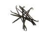 Vanilla Beans - 1 Bean - Madagascar Grade A