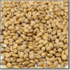 Wheat, Torrified