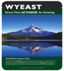 Wyeast - 1762 Belgian Abbey II